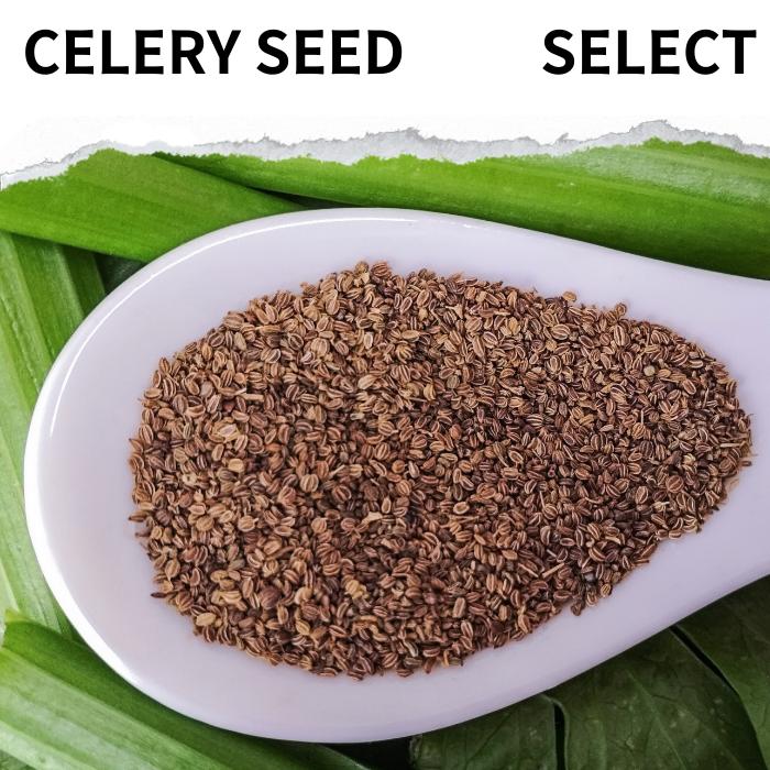 【楽天市場】セロリシード 100g ～選べる celery seed スパイス ハーブ 香辛料 万能調味料 調味料 業務用 ヴィーガン