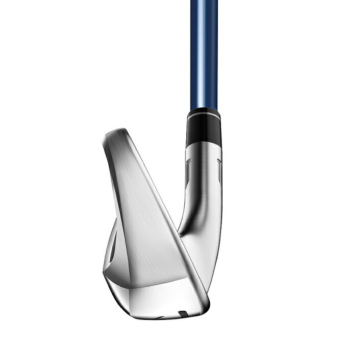 激安ブランド ゴルフクラブ Taylormade テーラーメイド アイアンセット Tensei Bl Tm 5i Max Os Sim2 アイアン Os Max Sim2 メンズ 5本組 メンズクラブ Williamsav Com