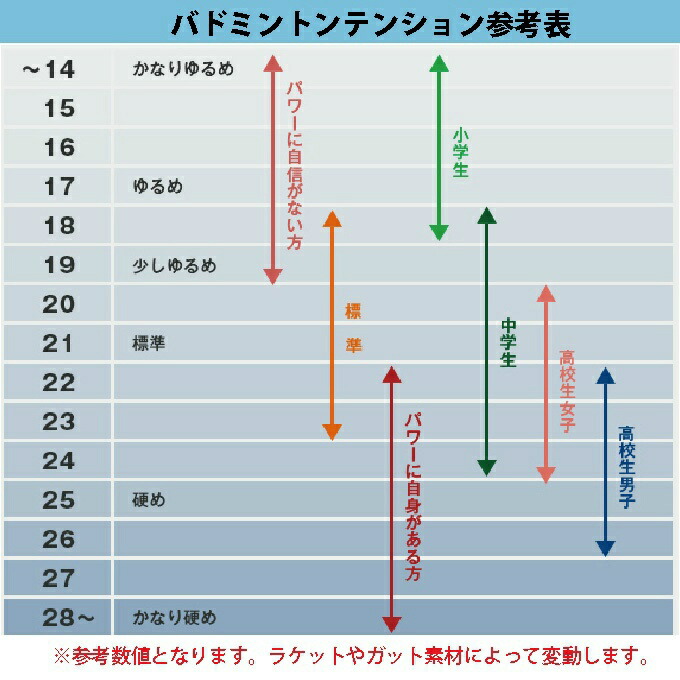 ヨネックスバドミントンラケットアストロクスパワーソアーAXPSH-704YONEX