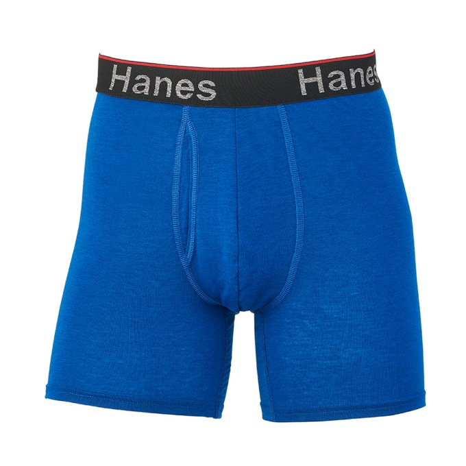 ヘインズ Hanes ボクサーパンツ メンズ トータルサポートポーチ ボクサーブリーフ HM6EW101-342画像