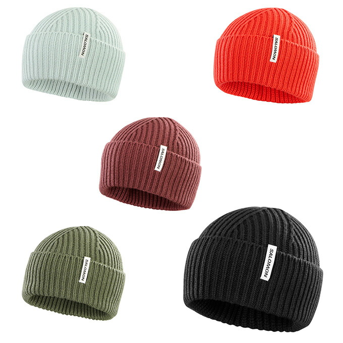 楽天市場】サロモン ニット帽 メンズ レディース KNIT CAP Y-FLATSPIN