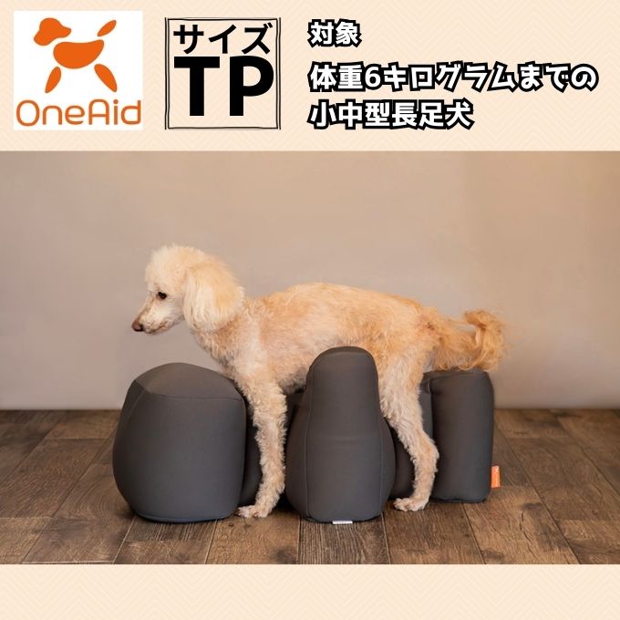 楽天市場】【最大2000円OFFクーポン！＆店内ポイント最大52倍！本日