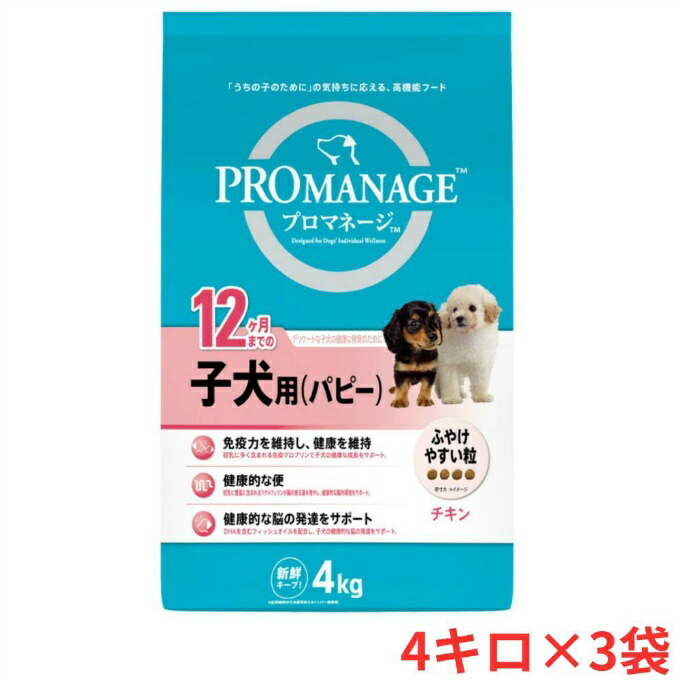 雨季を好いたらしいに！2026 おすすめ科目特集