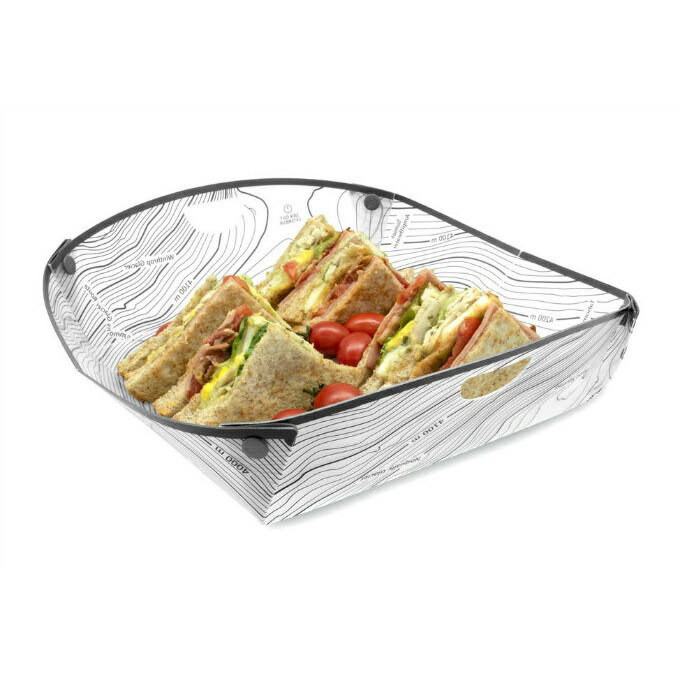 フォッジルズFozzils食器皿スナップフォールドディッシュXL1899077od