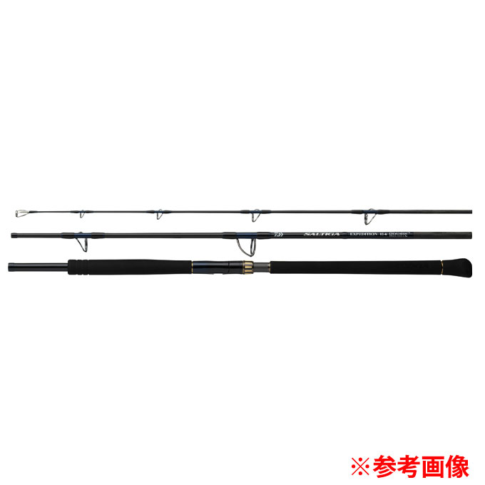 ダイワ(DAIWA) ソルティガ C EXPEDITION　SALTIGA 77-10 ロッド SALTIGA_C__EX_77-10 od‥