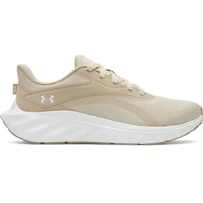 アンダーアーマー(UNDER ARMOUR) ランニングシューズ メンズ UA ASCEND 6009827-289 run