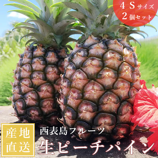 西表アイランドフルーツ モモパイン 大きさ4s 2個揃 貨物輸送無料 パイナップル パインナップル 沖縄 テレヴィジョン放映 イッテq 引出で物 下され物 イッテ に御出座し ジューシーで芳醇な甘さ 沖縄西表島ぐっと直送 Pasadenasportsnow Com