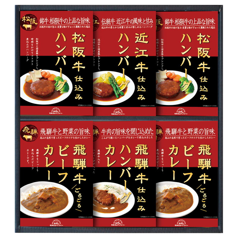 松阪牛・近江牛・飛騨牛仕込みハンバーグ&カレー詰合せ 飛騨高山ファクトリー ギフト 贈り物 お祝い お歳暮 お中元 プレゼント 御礼 お礼 御歳暮 御中元 贈答品 粗品 熨斗 のし お返し 内祝い 快気 志