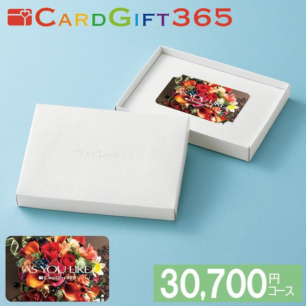 カードギフトＡＹＬ　３０，７００円コース宅配無料 ギフト 贈り物 お祝い お歳暮 お中元 プレゼント 御礼 お礼 御歳暮 御中元 贈答品 粗品 熨斗 のし お返し 内祝い 快気