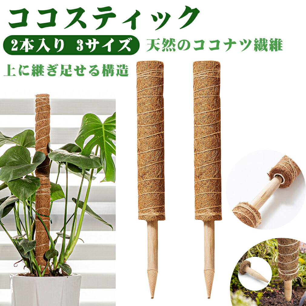 楽天市場】セール延長☆P5倍＋特典!! ココスティック 2点セット