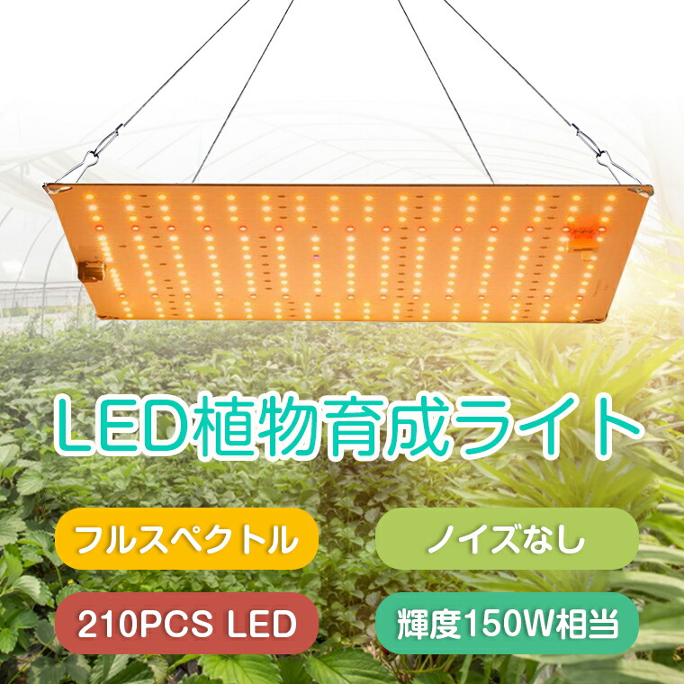 楽天市場】植物育成ライト LED 210個 育成ライト 植物 育つ