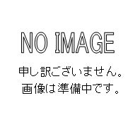 【6月4日20時～6月11日1：59押さえるP5倍】【第四次元決める・日祝着不可】SAKAE/サカエ 軽さ御役目台ＫＫ印字機 スモール収納家具付 1800×750×740粍 精神的な統合式 KK-69PSL52IG
