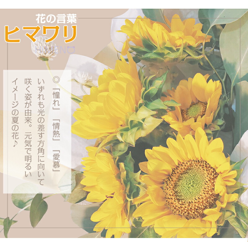 商い ひまわり 向日葵 バラ プリザーブドフラワー ギフト 誕生日 プレゼント 枯れない花 女性 母 女友達 祖母 ガラスドーム おしゃれ 敬老の日 7月 8月 結婚 両親贈呈 開業 開店 新築 退職 歓送迎 贈り物 夏の花 男性 上司 Fucoa Cl 商い ひまわり 向日葵 バラ プリザーブドフラワー ギフト 誕生日 プレゼント 枯れない花 女性 母 女友達 祖母 ガラスドーム おしゃれ 敬老の日 7月 8月 結婚 両親贈呈 開業 開店 新築 退職 歓送迎 贈り物 夏の花 男性 上司 Fucoa Cl