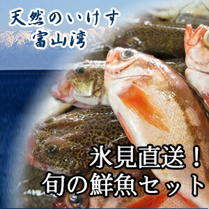 天然のいけす 富山湾<br>氷見漁港 旬の鮮魚セット　6000円
