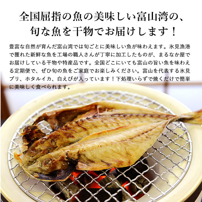 送料無料 定期便 氷見産干物と越中 能登漁港のうまいもん 紀行 干物 海産物 海の幸 酒の肴 珍味 魚 氷見のいいもの まるなか屋富山 湾を代表する 氷見の寒ブリ ホタルイカ 白えびを最も美味しい旬の時期にお届けします その他も富山湾が育む美味しいお魚が