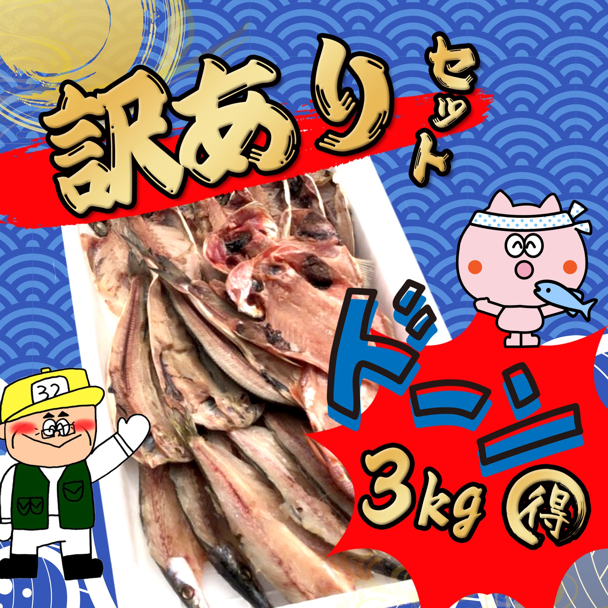 干物 訳ありセット 約3kg  種類品数職人におまかせ 干物セット オリジナル 詰め合わせ わけあり ワケあり 自宅用 小田原 お得 送料無料