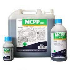 ＭＣＰＰ液剤（選りわける性除草剤） 500ml 5L 【人間宅送りとどける不可】｜除草剤 杉菜 クローバー 芝 運動場用 丸和バイオケミカル 農薬 流動体 園芸 ガーデニング