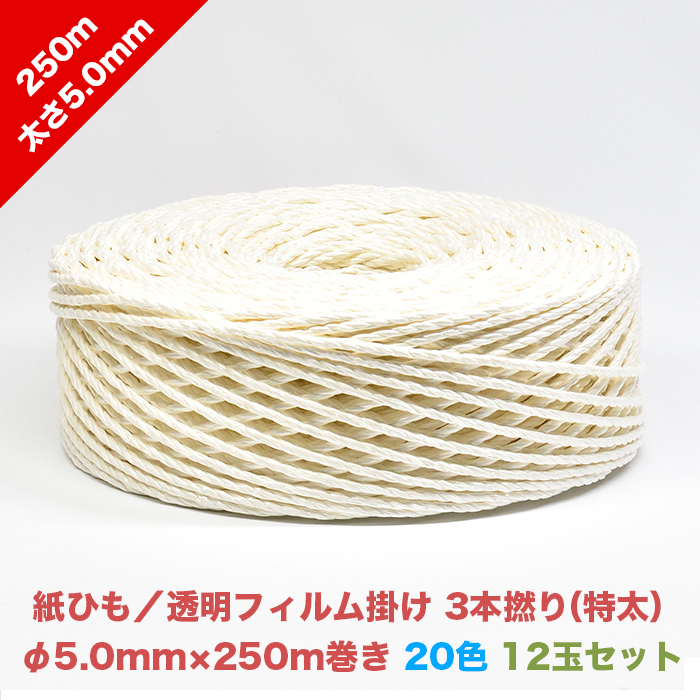 紙つり紐 透明ムーヴィー掛け 3ブックより糸 特太 5 0mm 250m 色艶 お便宜な12滴ひとまとまり 襟 色 釣り下げる 荷縄 紙紐 ヒモ 荷造り素材 パッキング紐 ペーパー 逐次刊行物 ダンボール 〆切り紐 リソース塵 ゴミ為熟す 猫ちぐら Upntabasco Edu Mx