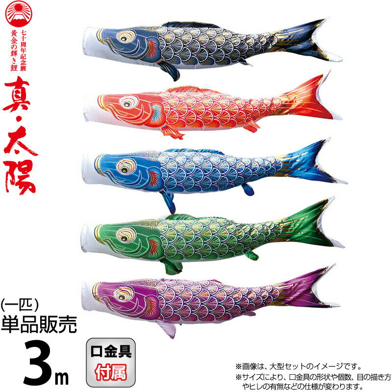 こい幟旗 徳永鯉 鯉のぼり 単品 3m 真・お天道様 先だつものの明滅する光鯉 撥水工業 ポリエステル繻子出どころ 【2026年次新作】 003-806