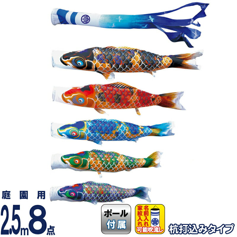 本日発送 MSNAF5QQ4K5 [MSNAF5QQ4K5]