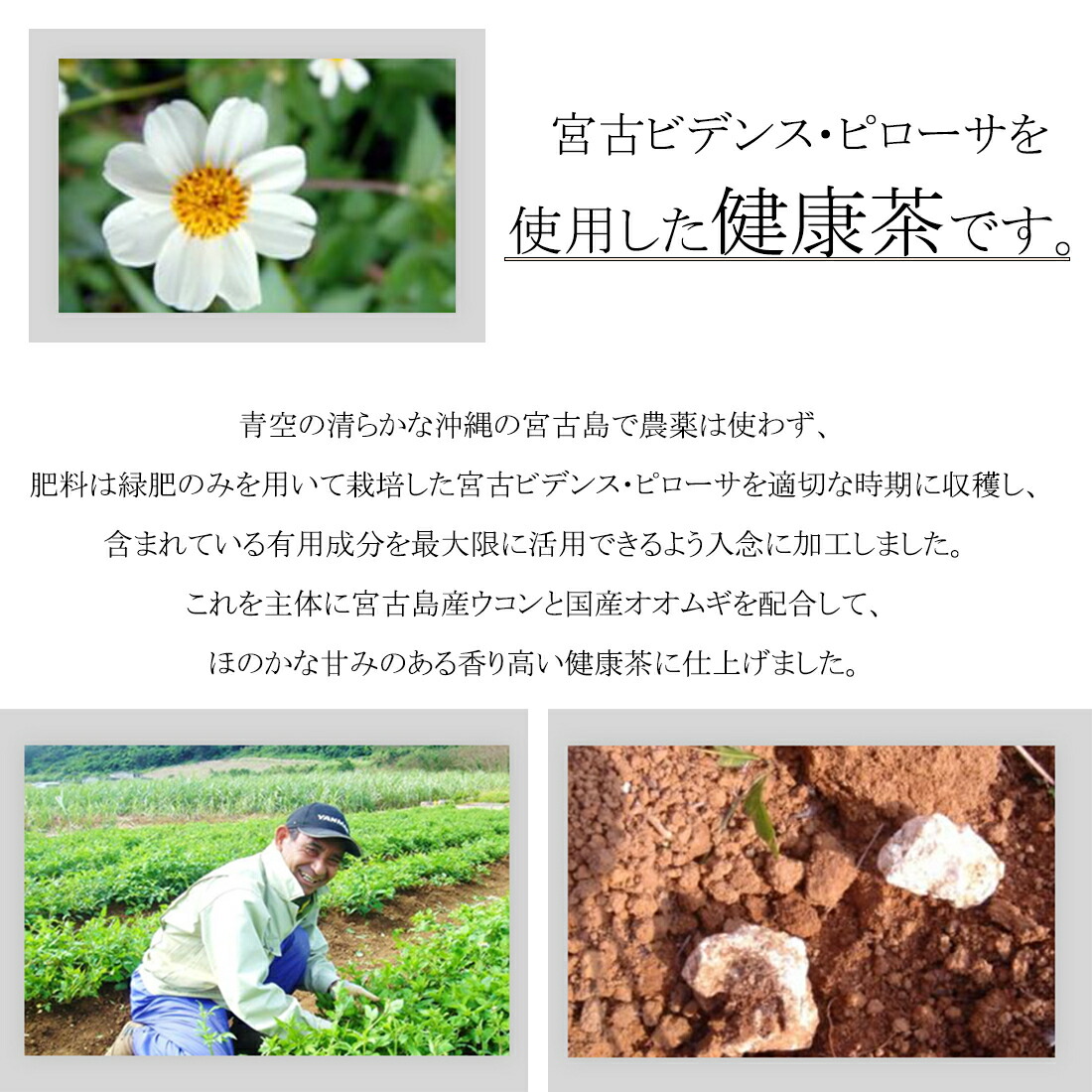 宮古ビデンスピローサ褐色 30袋初っ端 うるばな宮古 ビデンス茶 ビデンス紅茶 よろしい茶 草本ティー ノンカフェイン ダイエット スギ 花粉 ヒノキ ブタクサ ヨモギ 居ダスト 太陽光 金属元素 Doorswindowsstairs Co Uk