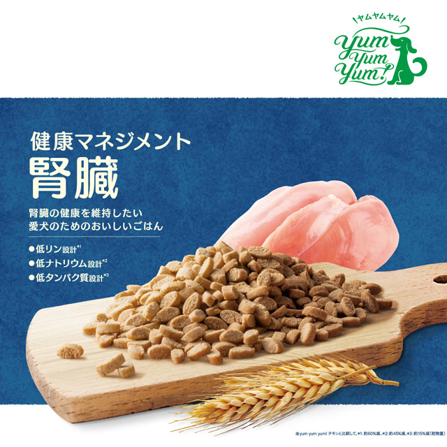 コング（スペクトラムブランズジャパン）特集