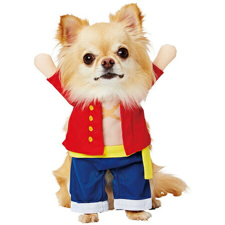 あす楽 ネコポス配送 変身着ぐるみウェア ワンピース One Piece ルフィ チョッパー 犬 猫 服 ハロウィン Giosenglish Com