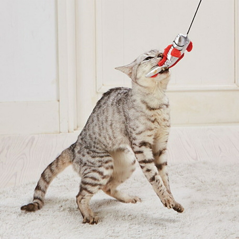 みけねこのおつかいおまとめ二枚セット 楽天市場】＼ ワンにゃん最大400円クーポン ／キャットキッカー