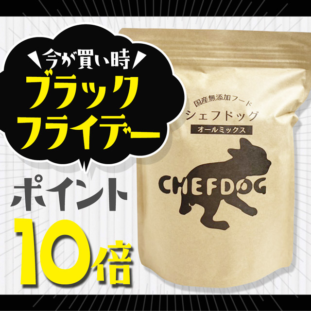 無添加ドッグフード安心本舗　500g×12袋　シニア犬幼犬 無添加ドッグフード安心本舗 500g×12袋 シニア犬幼犬