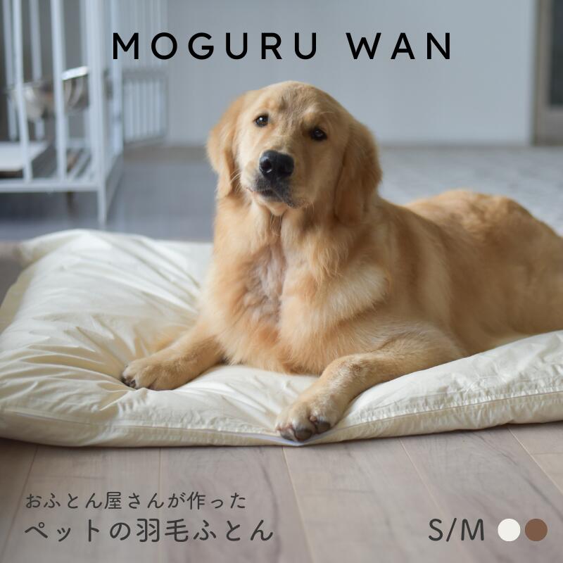 これで雨季の苦しむこと説き明かす！