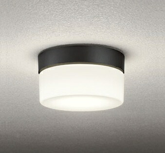 ODELIC(オーデリック) ライト<電球色> OG254982LR