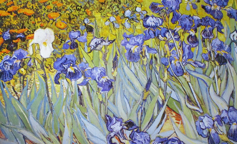 death nyc 額装　アートポスターエヴァンゲリオン　ゴッホ　糸杉のある麦畑 フィンセント・ファン・ゴッホ ポスター 糸杉のある麦畑(1889