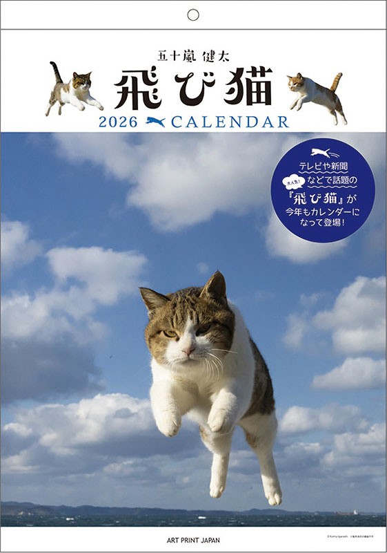 楽天市場】五十嵐健太 飛び猫 2026年 壁掛けカレンダー 1000136883