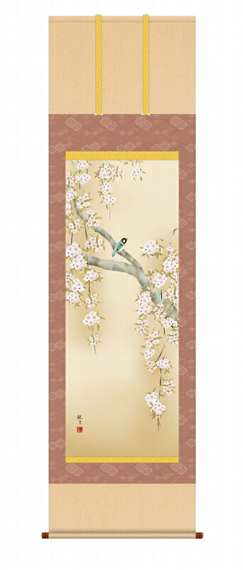 春の掛け軸 桜花に小鳥 春掛けの花鳥画 尺五 風鎮・品質保証付き 送料無料