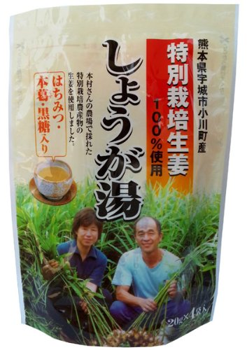 イトク食品 特別栽培しょうが湯 20g×4p×10個