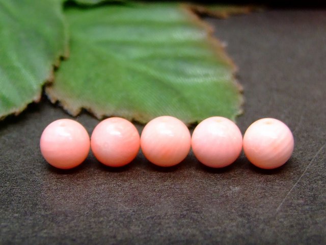 楽天市場】62081 6mm A 1粒売り ピンク珊瑚 サンゴ コーラル 染め 送料