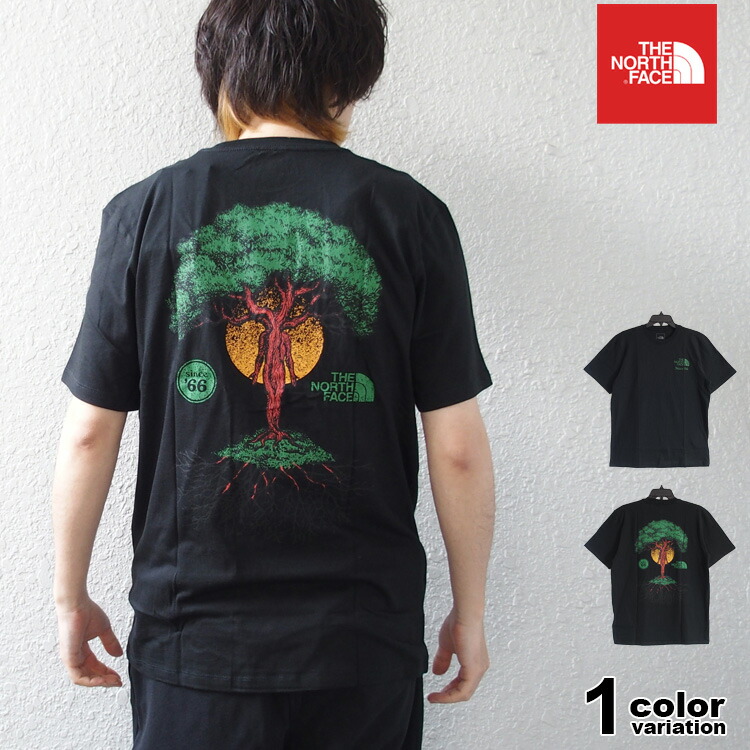 楽天市場】海外限定モデル ザ ノースフェイス Tシャツ THE NORTH