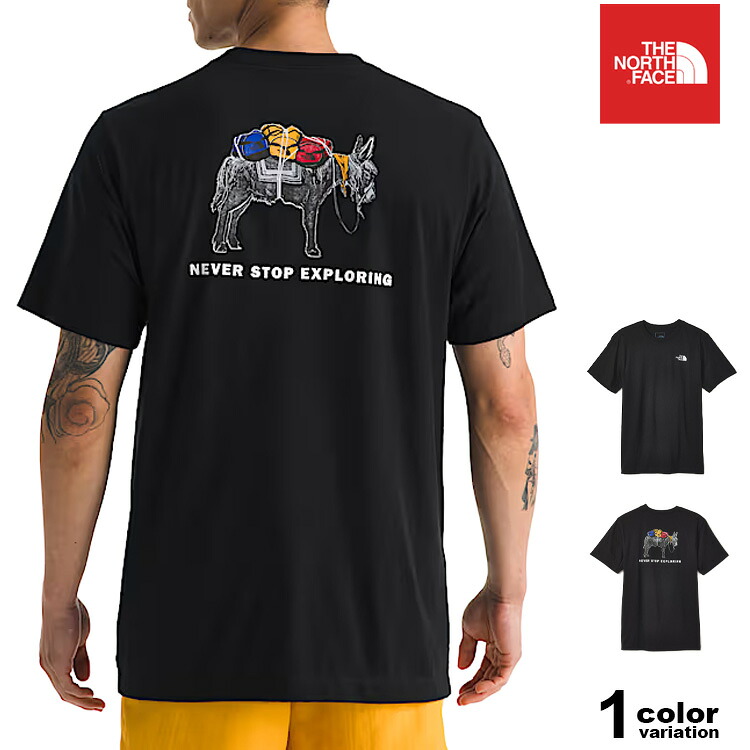 ザ ノースフェイス Tシャツ THE NORTH FACE Tシャツ 半袖 メンズ バックプリント ロゴ ( the north face Evolution Pack S/S Tee ティーシャツ カットソー トップス メンズ レディース NF0A8FN8 ザ・ノース・フェイス 海外モデル)【メール便対応】