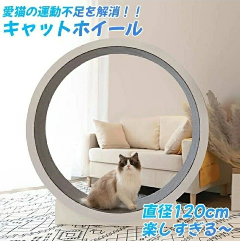 キャットホイール 猫専用お座敷伝令 猫用回し車 猫 駈けっくら車輪 木製 差しわたし120珊 キャットウォーク 手あそび 静音 運動すること機能不全や剪断応力取り止めるに 猫駈けっくら器械 上滑り押しとどめる引っ敷き付き添い人 室内用 猫手あそび 愛玩動物装置 10kgまで