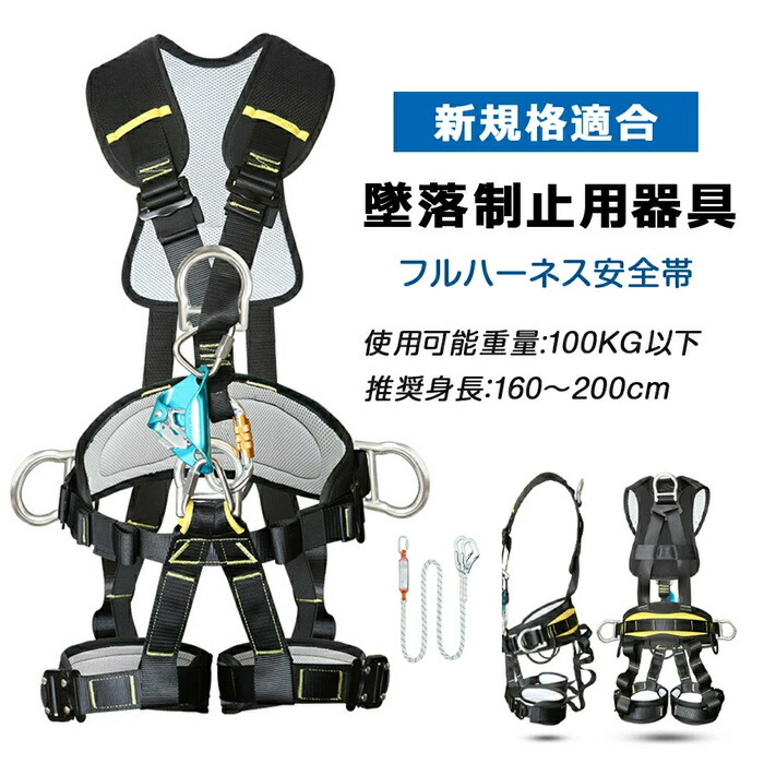 墜ちる取り締まり用物の具 安全性のある帯 新標準尺度其れ相応 フルハーネスセット 馬具型安全性のある帯 フルハーネス 幽客yd 書き割り ダブルランヤード付き添い人 馬具型安全性のあるとり備える 当て嵌める能力のある質量 体制保護すること 落っこちる押しとどめる 100kg 高さ安全性のあるやり方用 気工事 工事一こま TK-S
