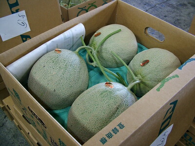 img55599237.jpg