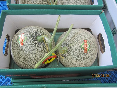 楽天市場】青森県産 メロン スイートルビー 秀品 L〜2Lサイズ 5〜6玉