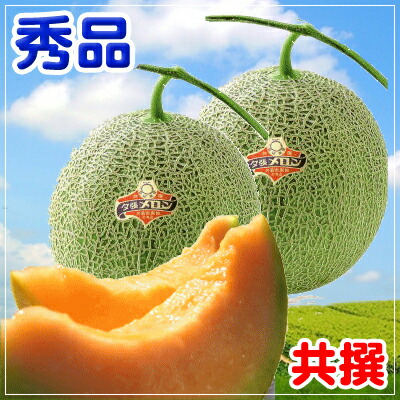 【るー】【共撰品】夕張メロン　優品6玉入　8kg箱　1玉約1.3kg前後 Amazon.co.jp: 随時発送中 夕張メロン 夕張農協共撰 夕張メロン
