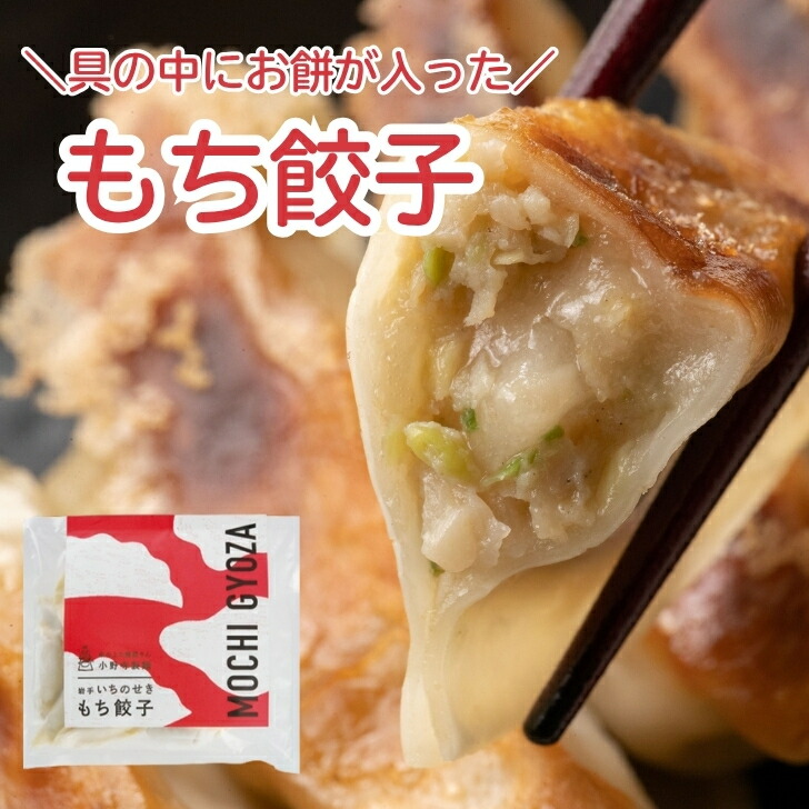 もち餃子 10個入り【冷凍食品 餃子 国産 岩手県 一関 おかず セット お取り寄せ 中華 簡単調理 冷凍餃子 肉餃子 焼き餃子 水餃子 ぎょうざ ギョウザ ギョーザ もち モチ 餅 ギフト 手土産 贈り物 贈答 手包み モチモチ 】