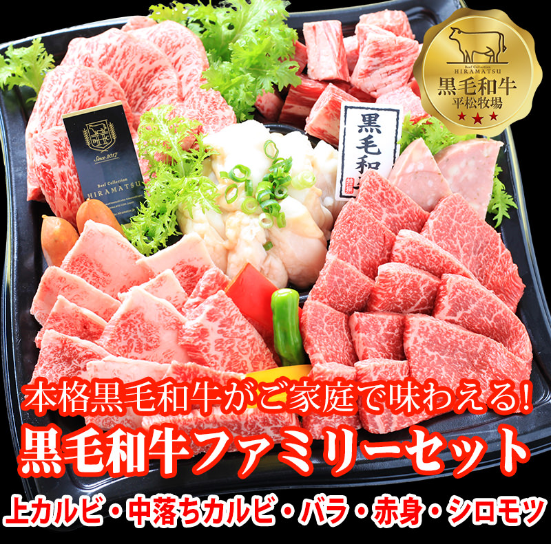 送料無料 平松牧場の黒毛和牛ファミリーセット650g 焼肉用 黒毛和牛 和牛 国産 お肉 お取り寄せ 焼肉 q バーベキュー 自宅用 食品 冷凍食品 牛肉 食品 肉 鹿児島県 平松牧場 平松畜産 Butlerchimneys Com