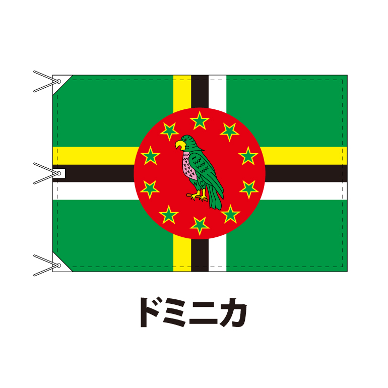限定 国旗 ドミニカ共和国 国旗 120×180cm 上質なエクスラン地 ビッグ 