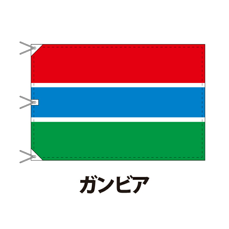 ガンビア 国旗 120×180cm 上質なエクスラン地 ビッグサイズ レザー・ハトメ・ヒモ付仕立 旗 フラッグ 国産 難易度:C 3営業日以内に出荷 送料無料 gambia国旗