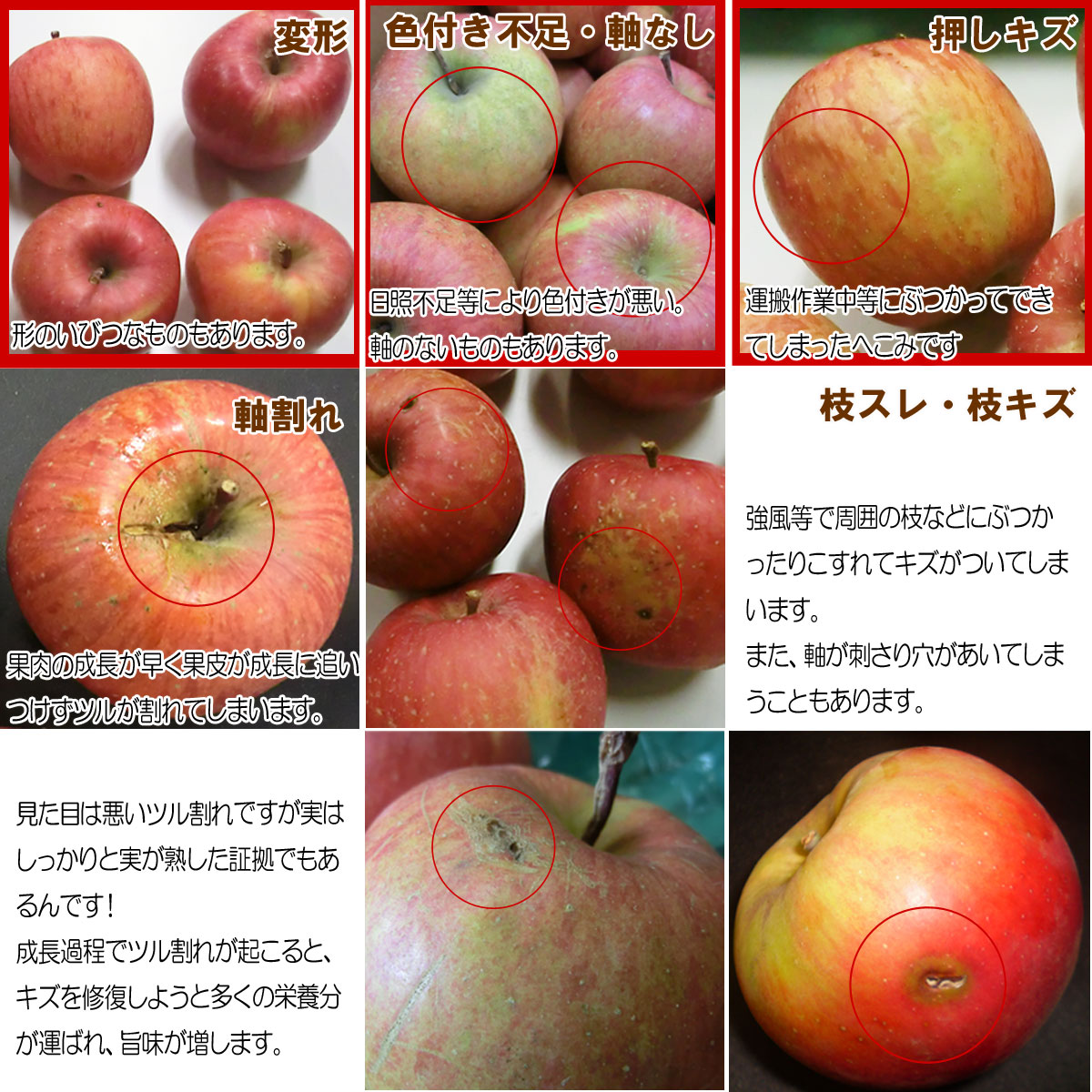 予約 送料無料 人気スポー新作 お手頃 約4ｋｇ 山形県産 訳あり サンふじ りんご 4ｋｇ 入りジューシーな 父の日 わけあり 茶箱 山形 のりんご リンゴ 家庭用