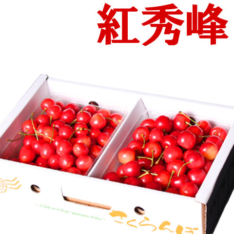 予約 送料無料 ピッカピカの秀品 たっぷり １ｋｇ 山形県産 さくらんぼ 紅秀峰 大粒 Lサイズ以上<br>口の中でプチッとはじける初夏だけの味わい！<br>