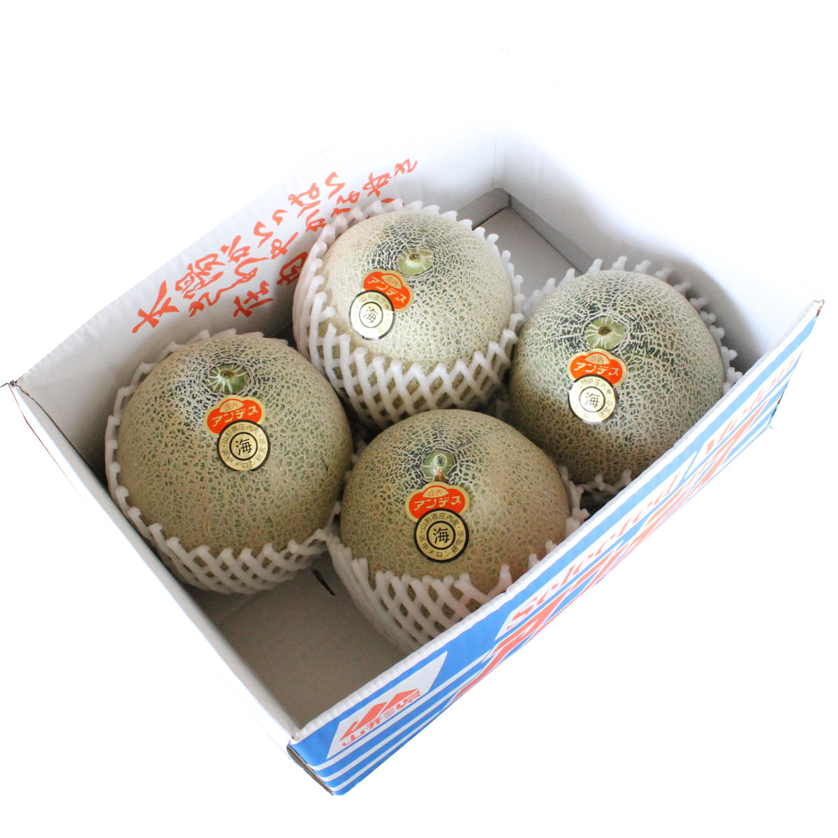 予約 送料無料 <br>庄内 砂丘 メロン３～５玉青肉<br> マスクメロン/Musk Melon/アンデス